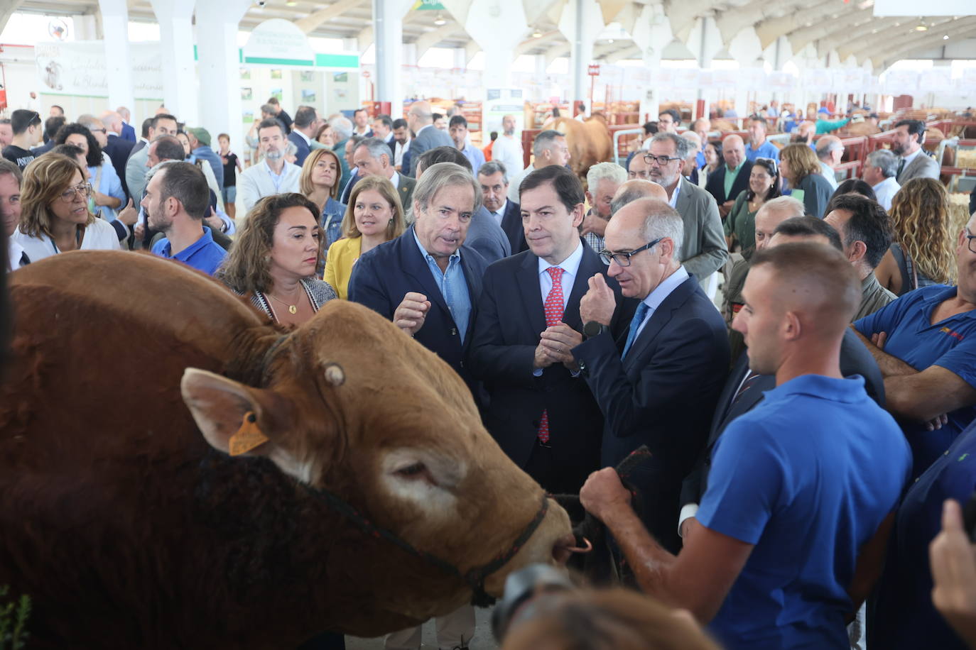 Las mejores imágenes del primer día de Salamaq 2025