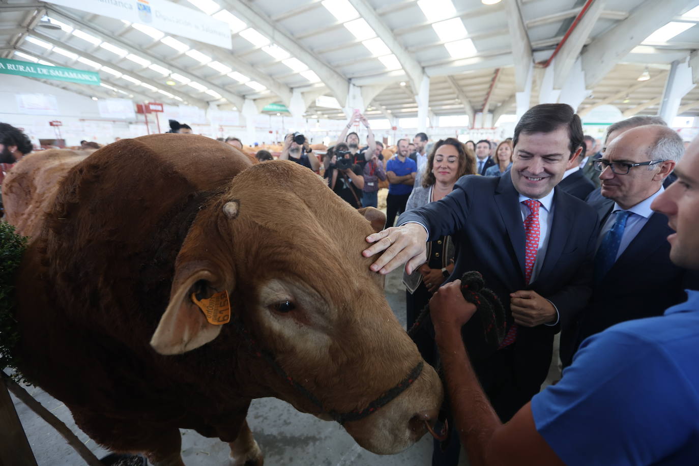 Las mejores imágenes del primer día de Salamaq 2025