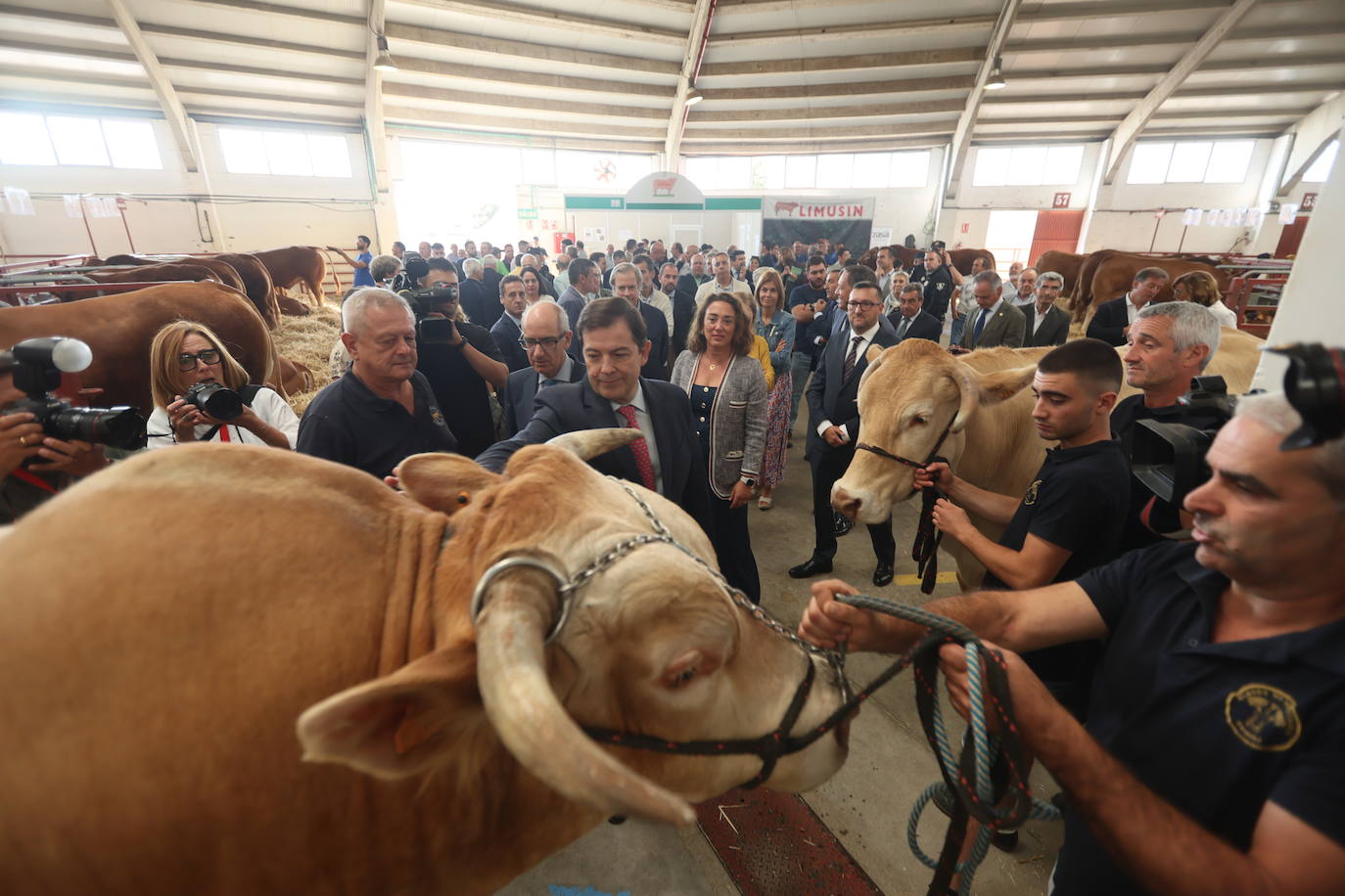 Las mejores imágenes del primer día de Salamaq 2025
