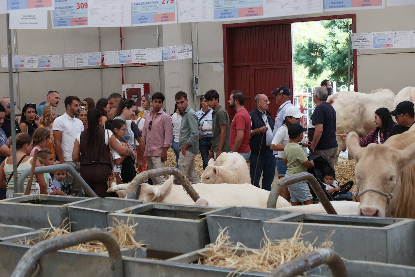 Las mejores imágenes del primer día de Salamaq 2025