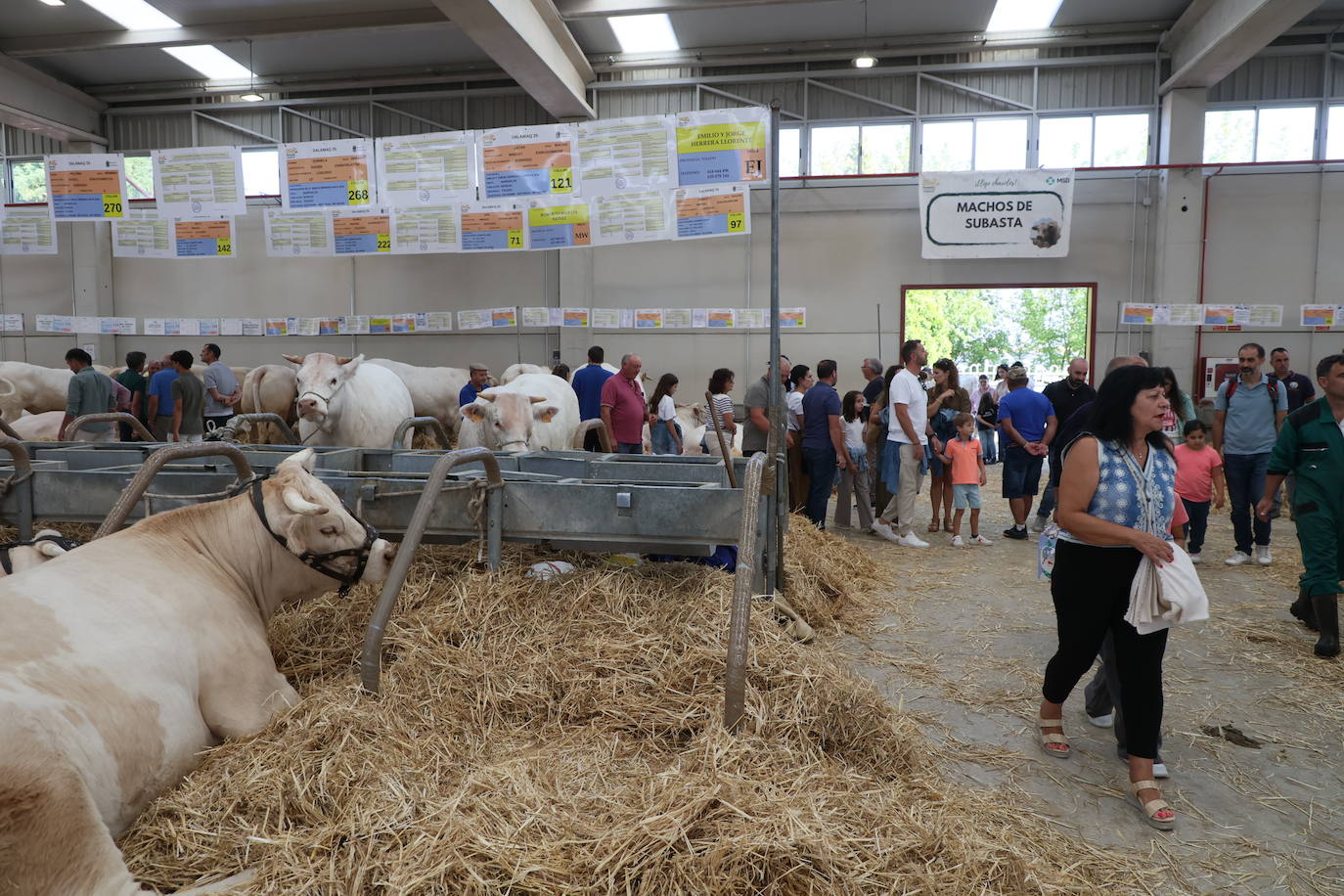 Las mejores imágenes del primer día de Salamaq 2025