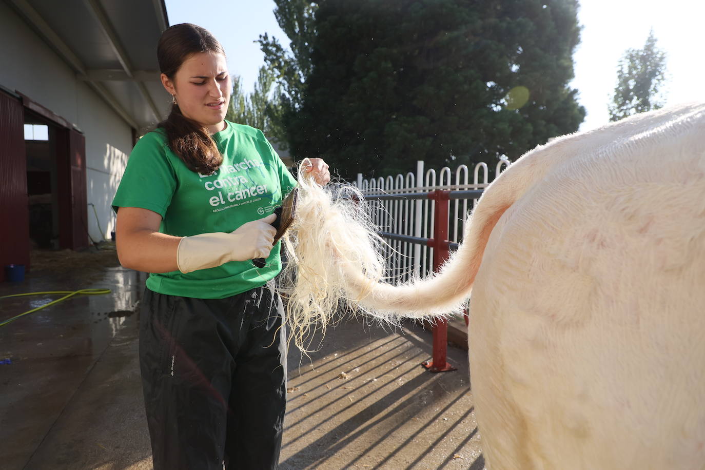 Las mejores imágenes del primer día de Salamaq 2025