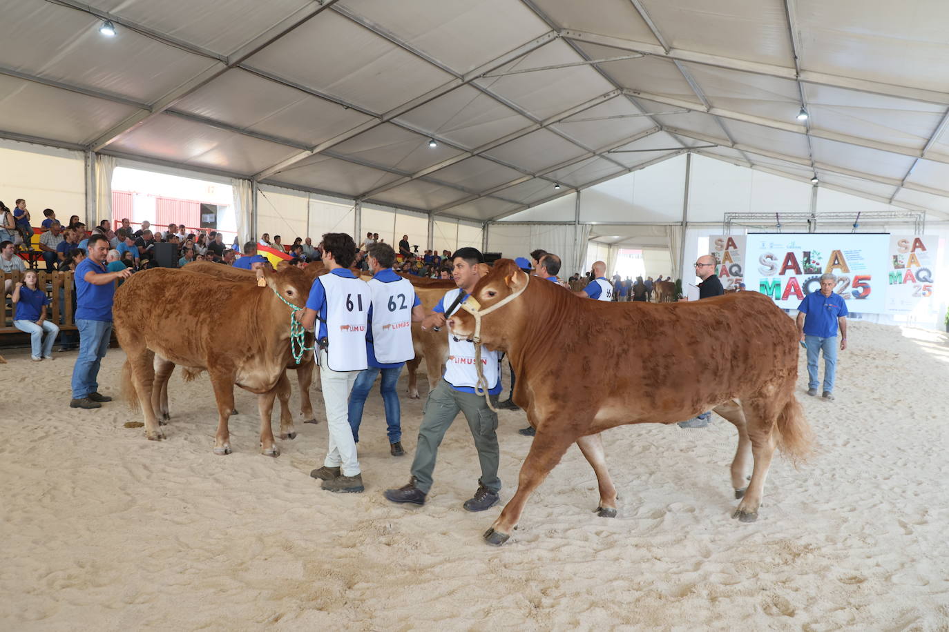 Las mejores imágenes del primer día de Salamaq 2025