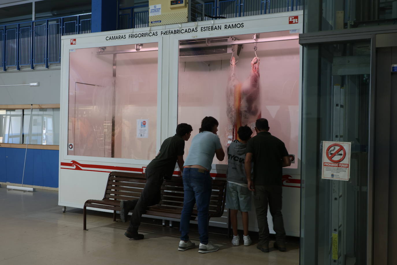 Las mejores imágenes del primer día de Salamaq 2025