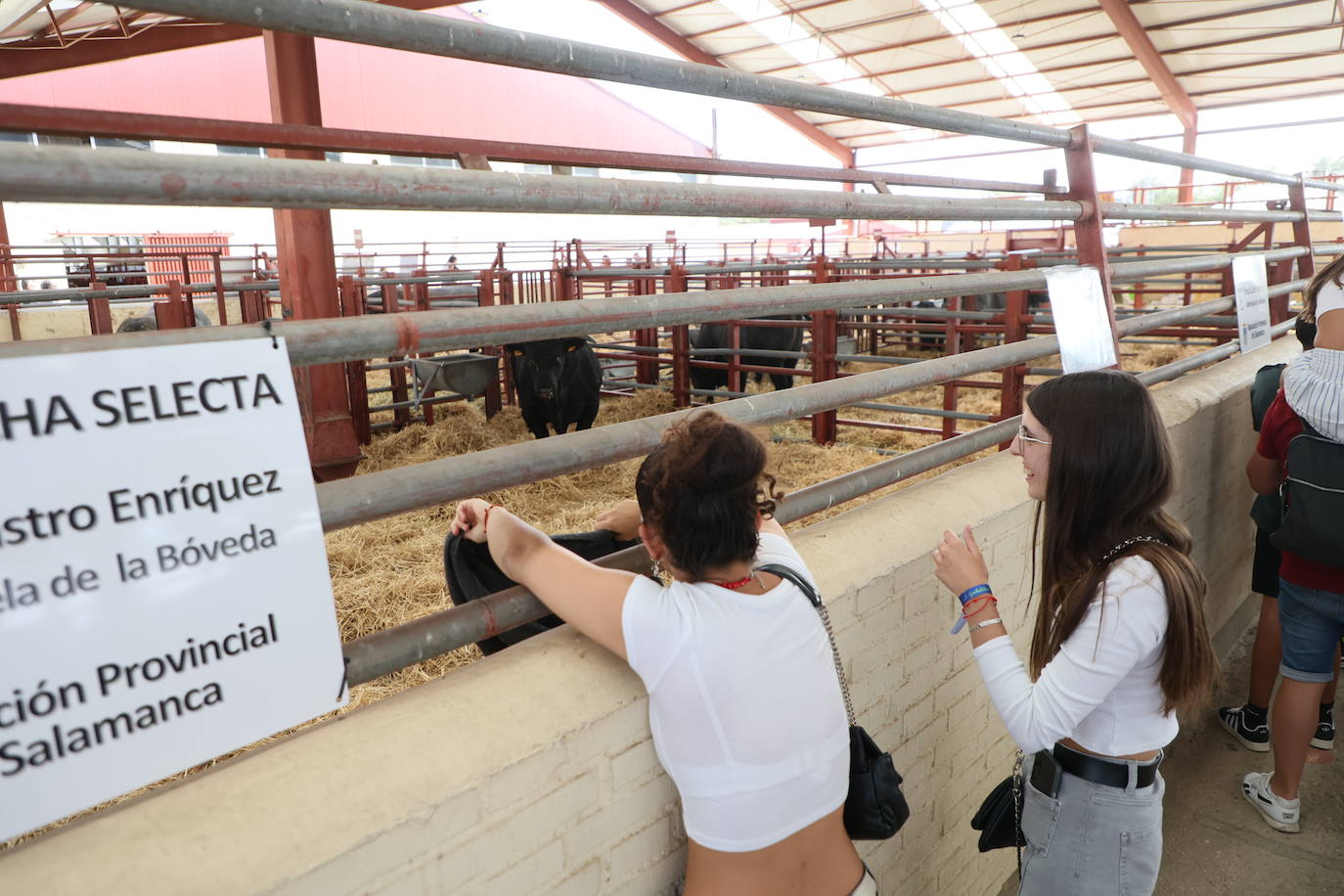 Las mejores imágenes del primer día de Salamaq 2025