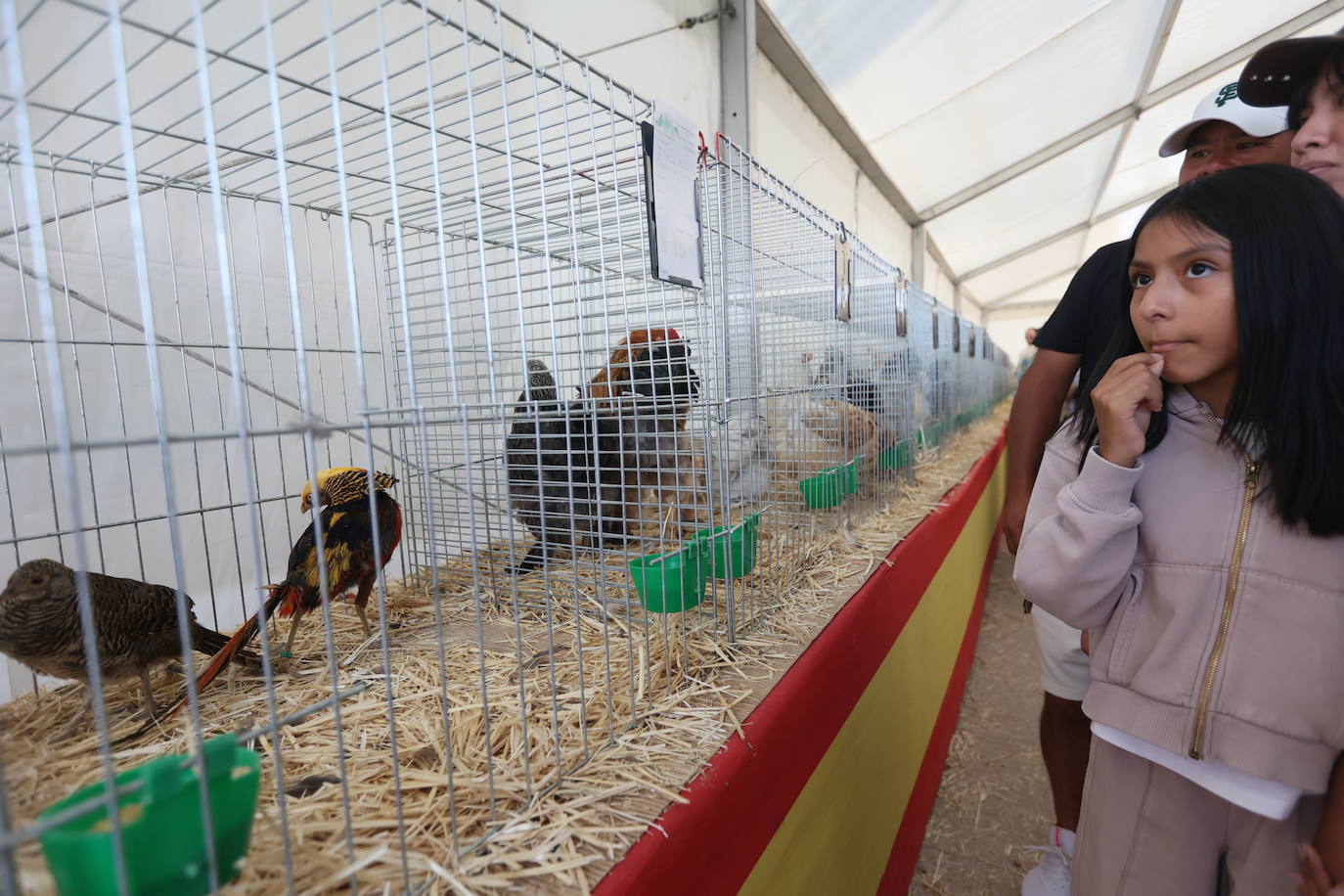 Las mejores imágenes del primer día de Salamaq 2025