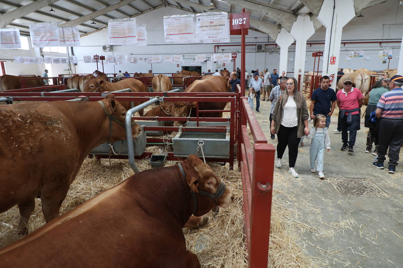 Las mejores imágenes del primer día de Salamaq 2025