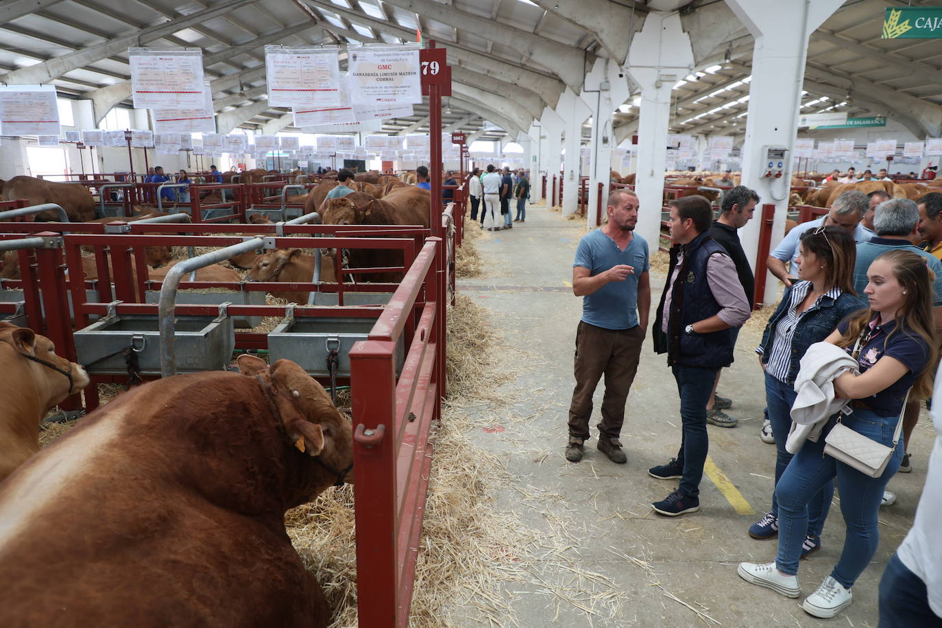 Las mejores imágenes del primer día de Salamaq 2025