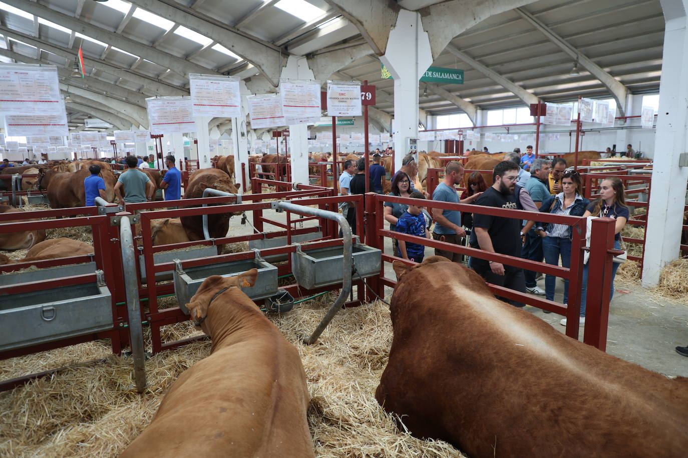 Las mejores imágenes del primer día de Salamaq 2025