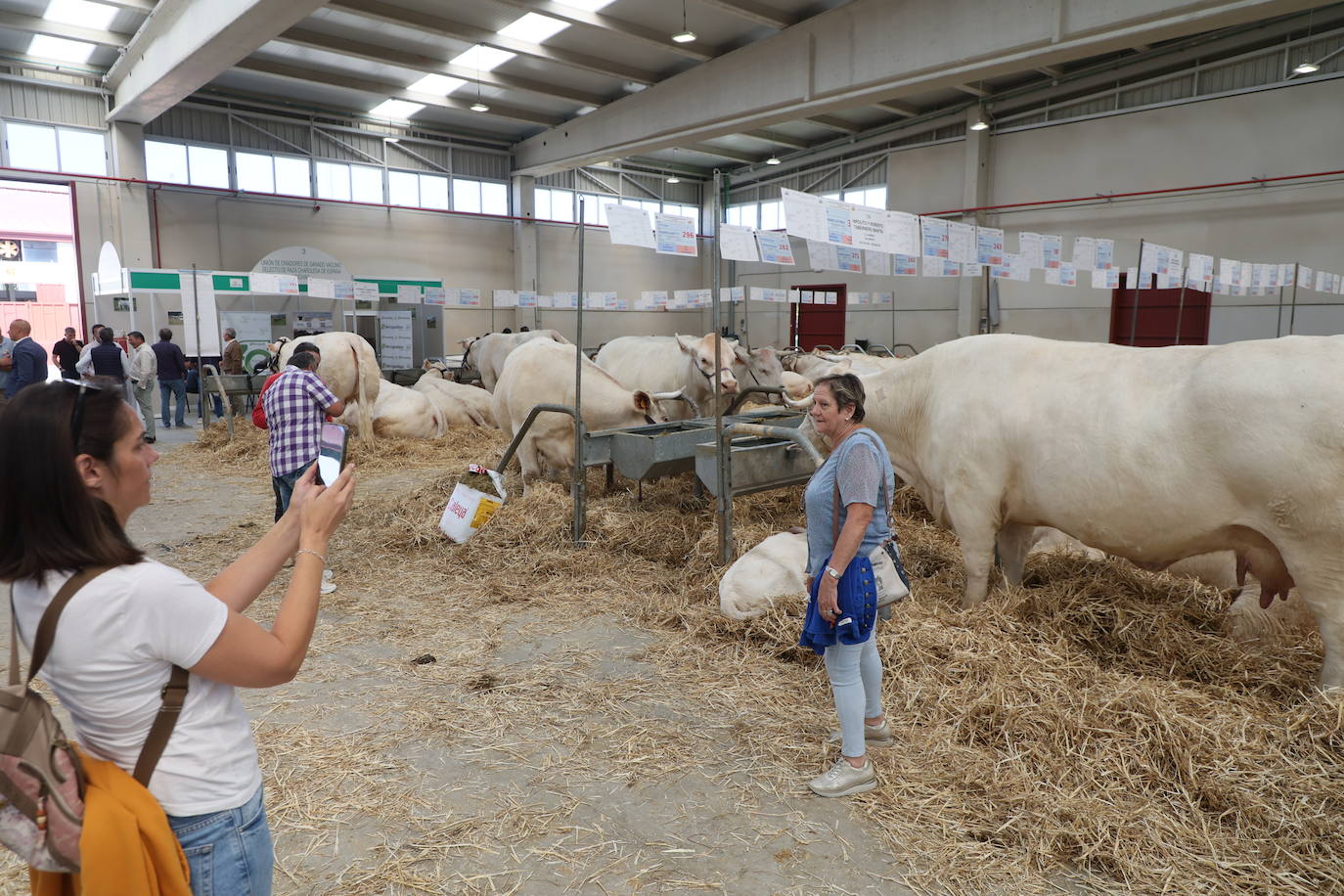 Las mejores imágenes del primer día de Salamaq 2025