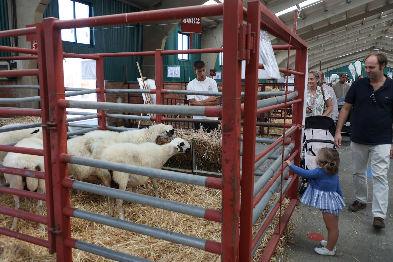 Las mejores imágenes del primer día de Salamaq 2025