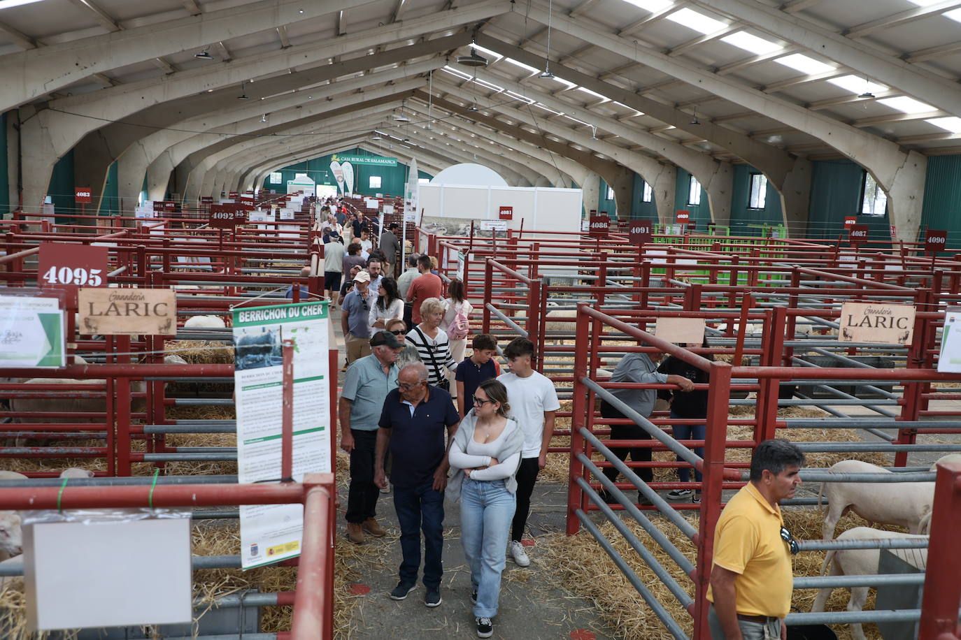 Las mejores imágenes del primer día de Salamaq 2025