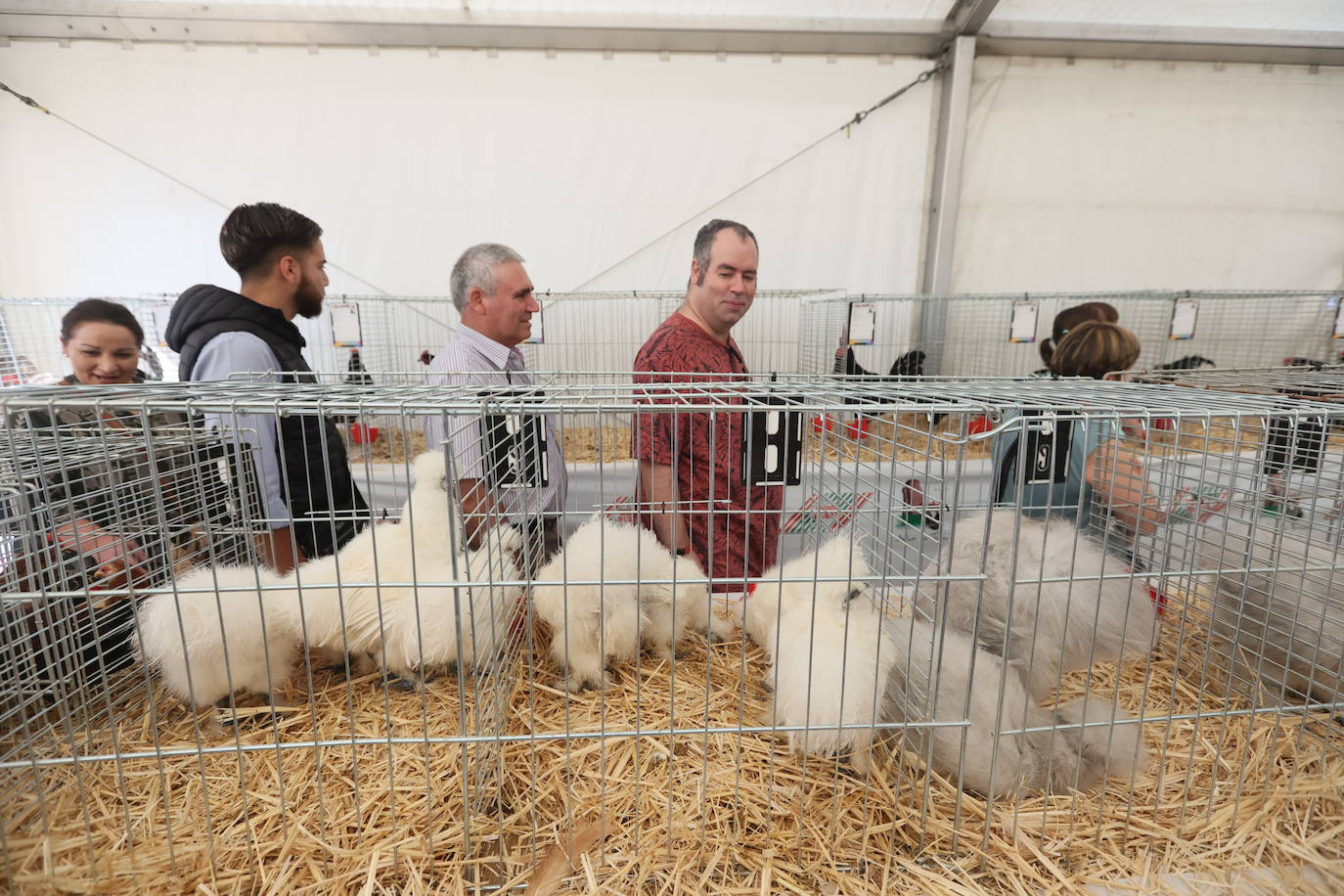 Las mejores imágenes del primer día de Salamaq 2025