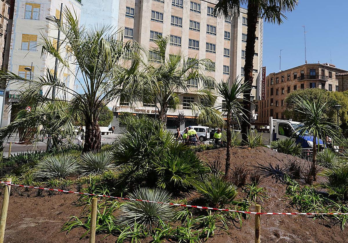 ¿Le gustan las nuevas palmeras colocadas en la plaza de Santa Eulalia?