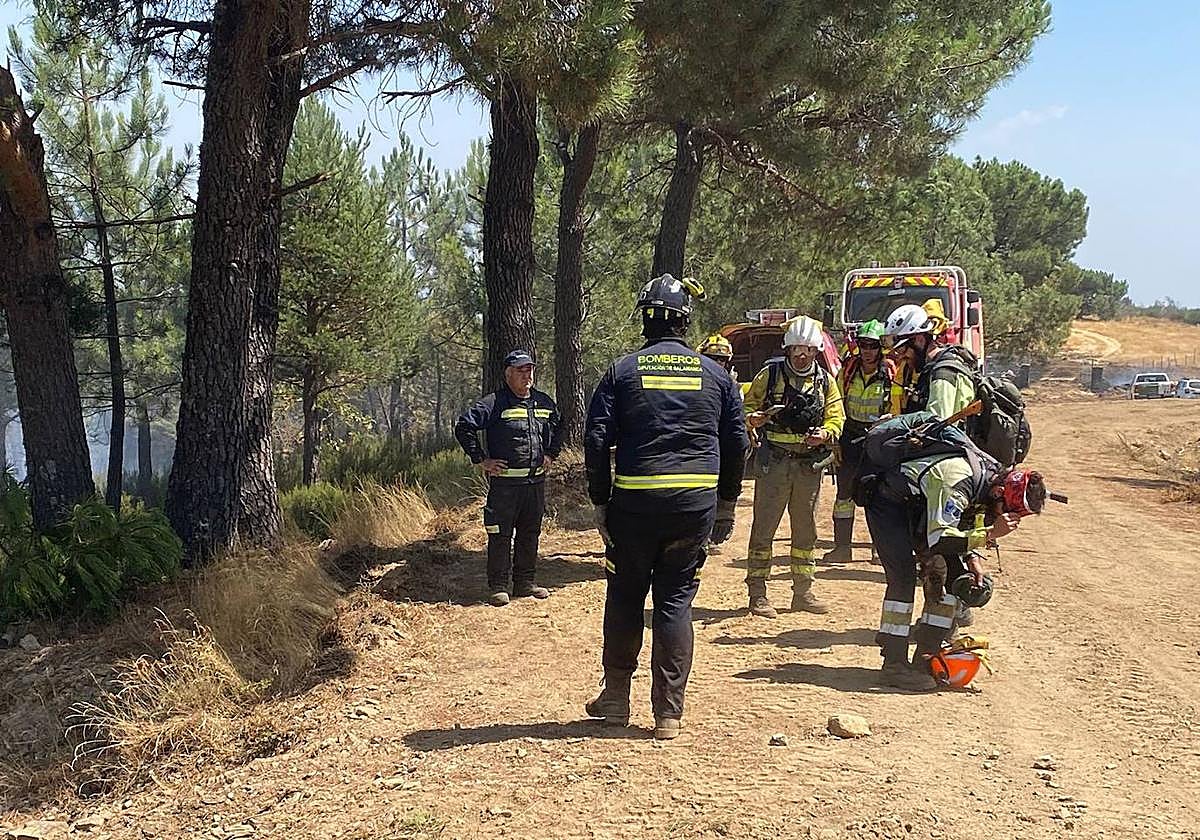 Bomberos de la Diputación, en el incendio de La Alberca.