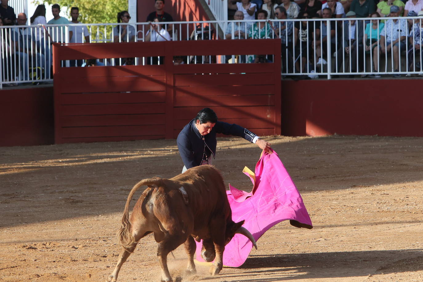 Dos orejas para Berdejo, Vanegas y Panero