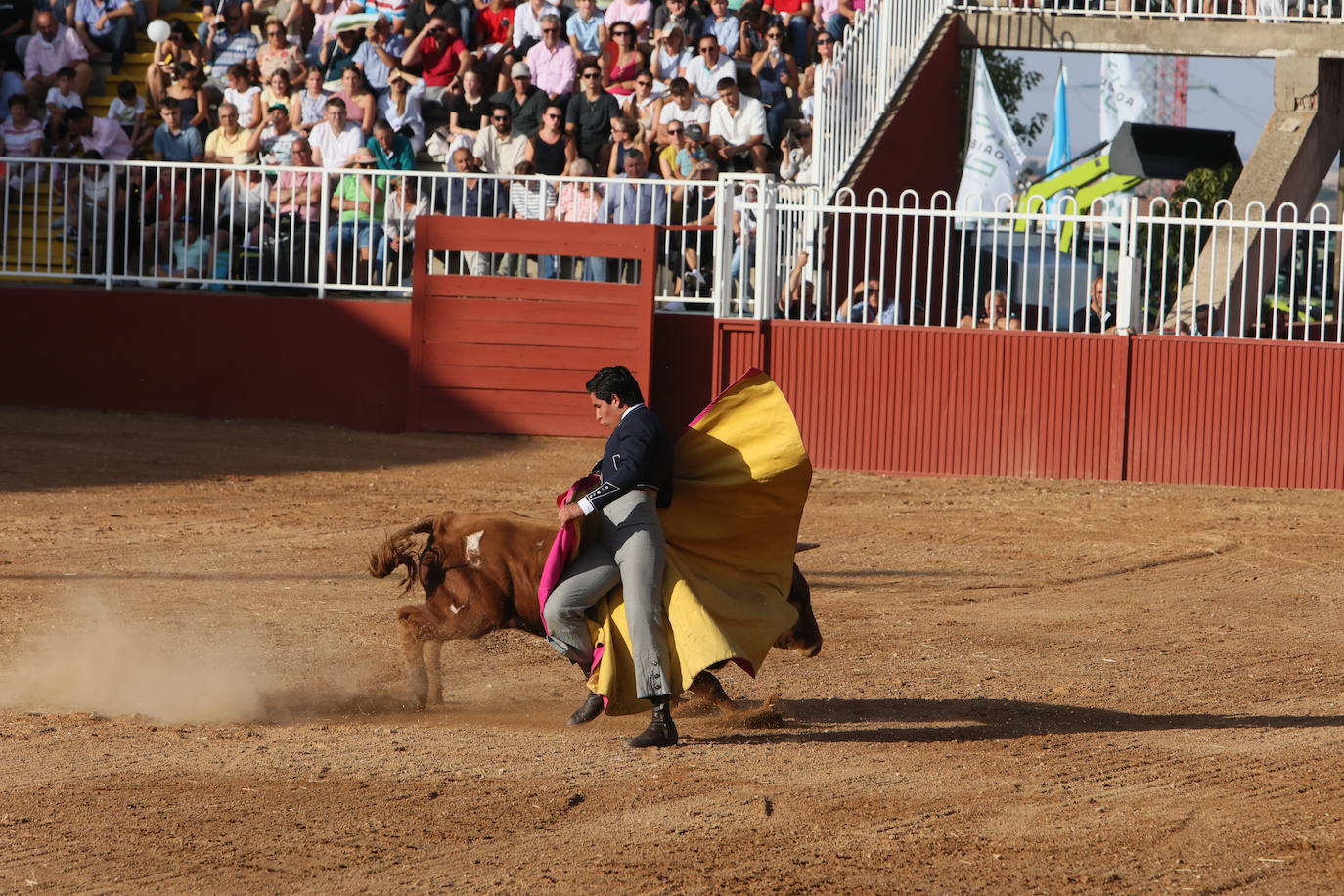 Dos orejas para Berdejo, Vanegas y Panero