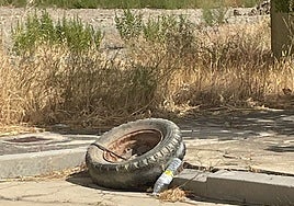 Imagen de detalle en Peñaranda.