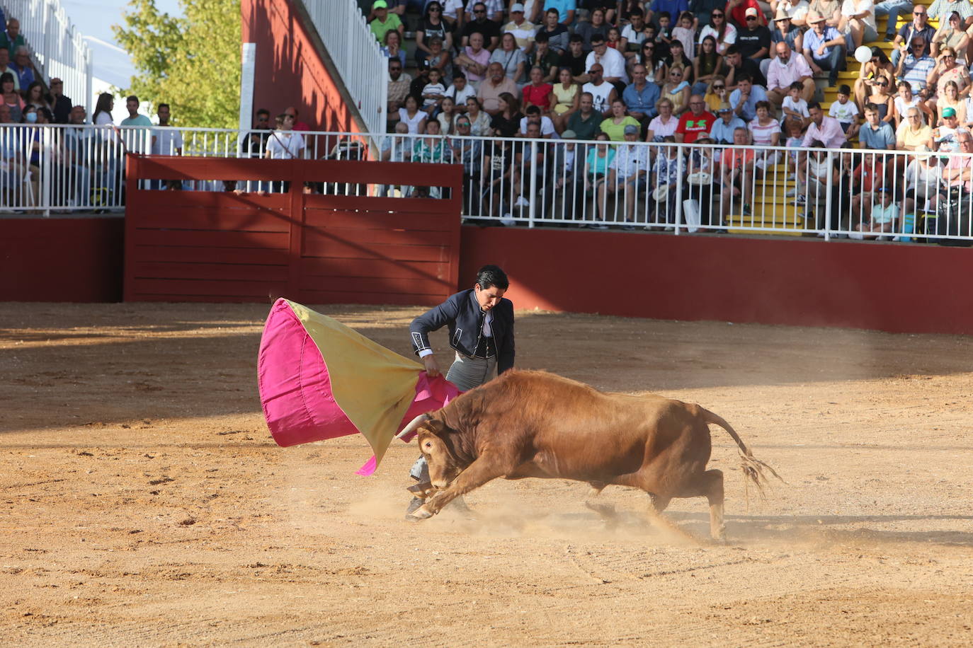 Dos orejas para Berdejo, Vanegas y Panero