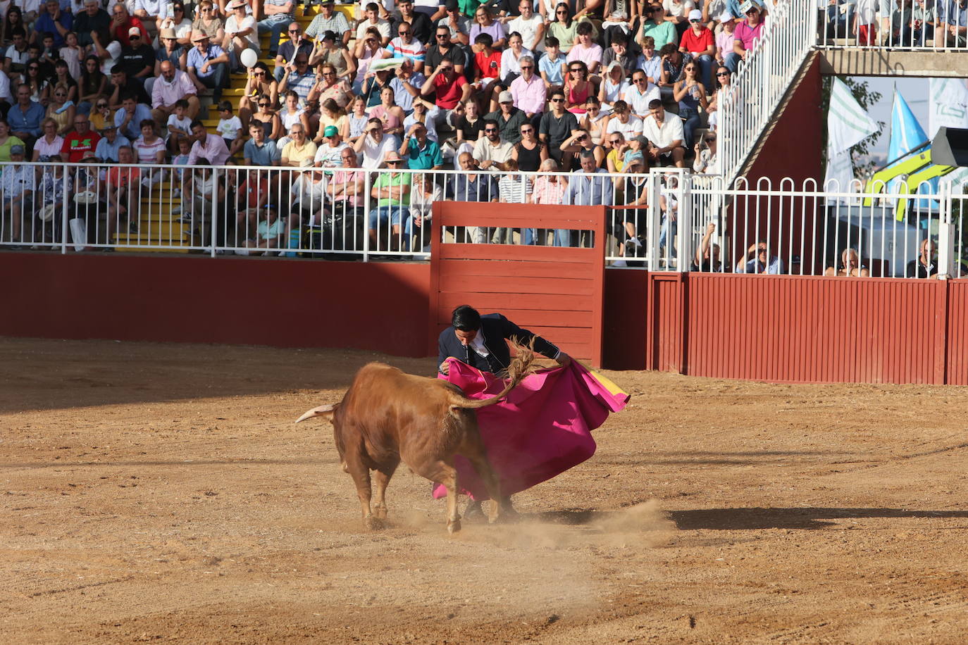 Dos orejas para Berdejo, Vanegas y Panero