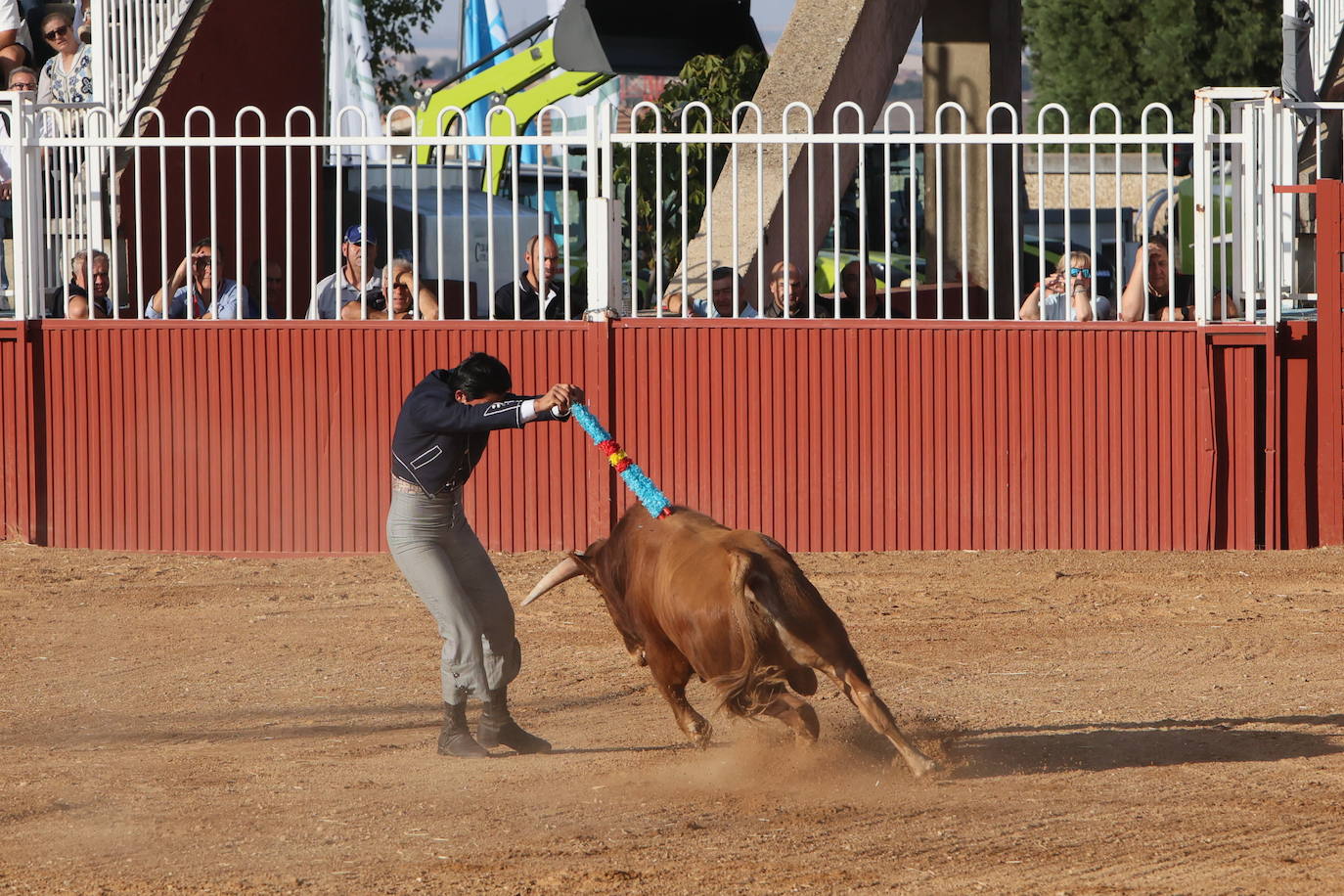 Dos orejas para Berdejo, Vanegas y Panero