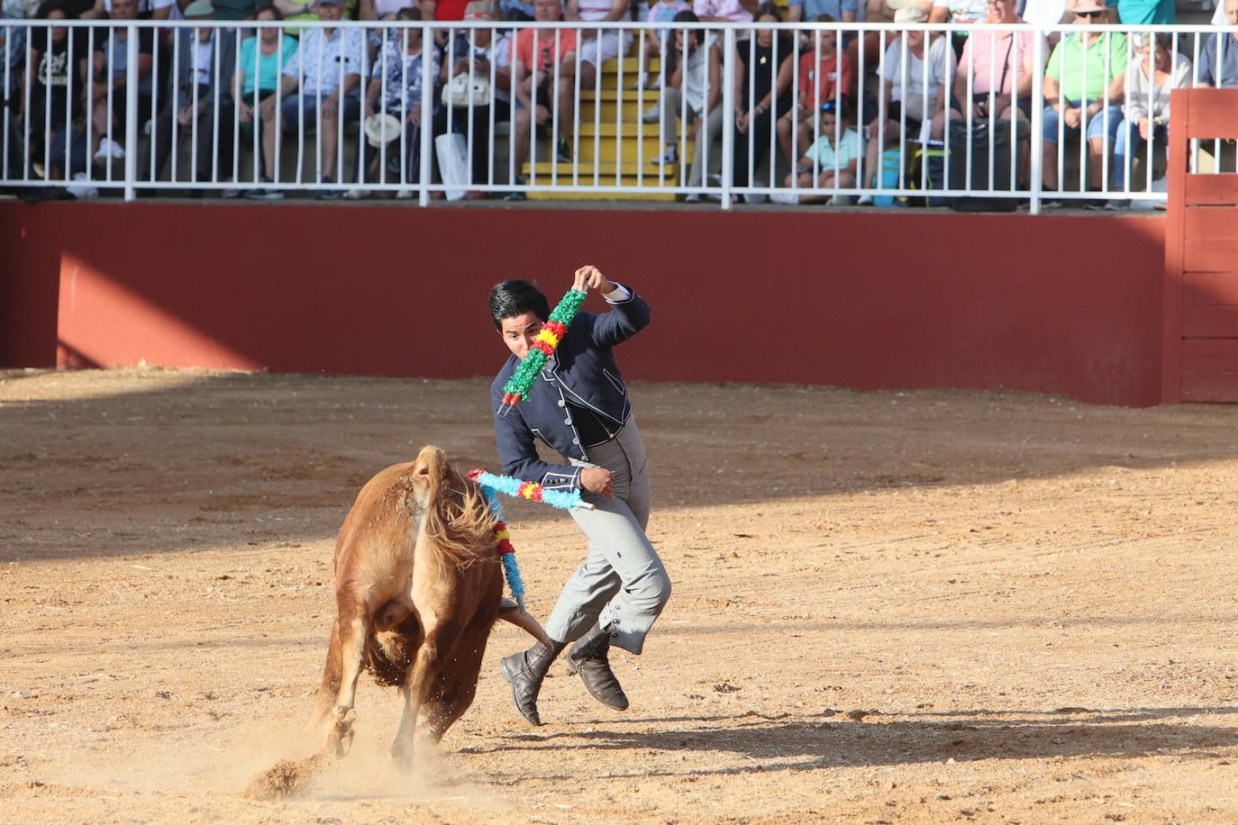 Dos orejas para Berdejo, Vanegas y Panero