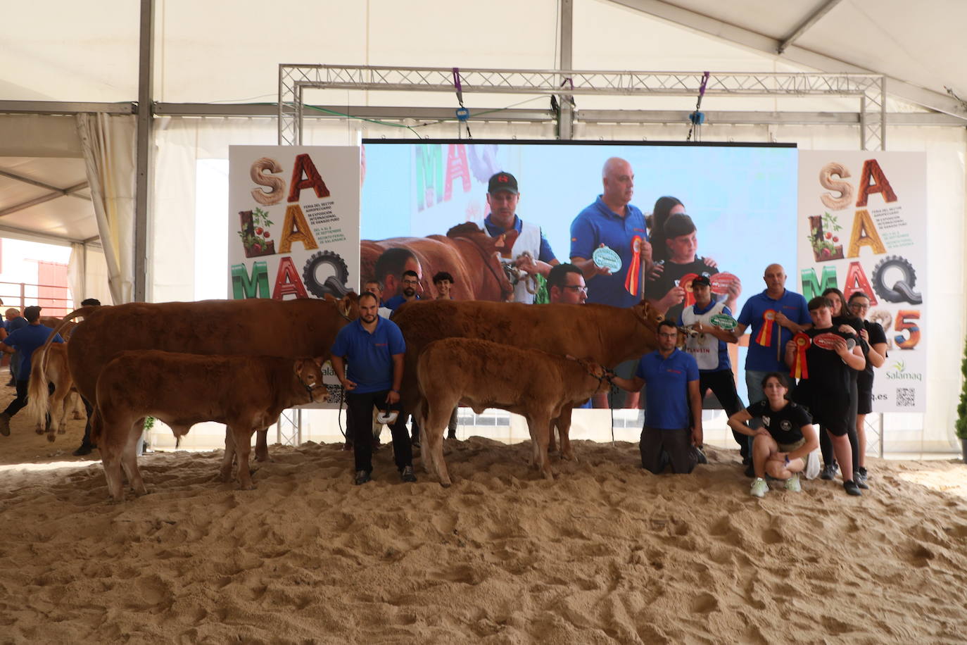 Las mejores imágenes del segundo día de Salamaq 2025