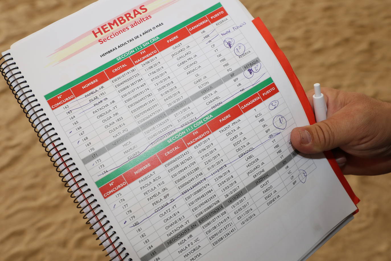 Las mejores imágenes del segundo día de Salamaq 2025