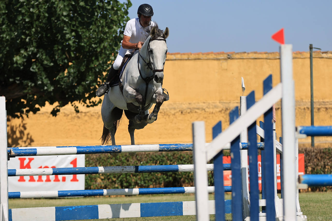 Ambientazo en la primera jornada de un concurso de saltos que enamora a Salamanca