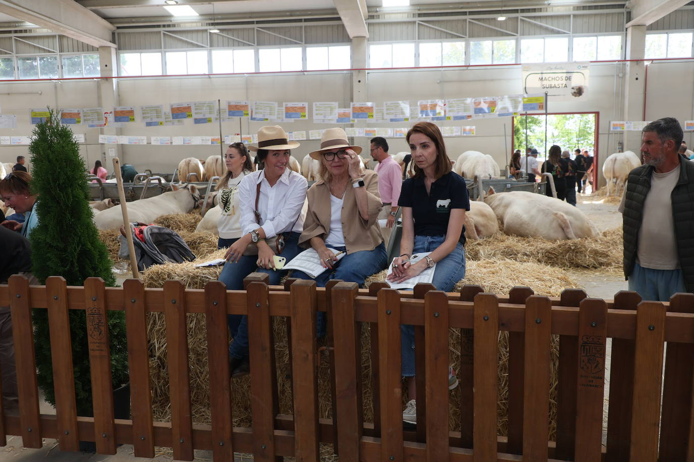 Las mejores imágenes del segundo día de Salamaq 2025