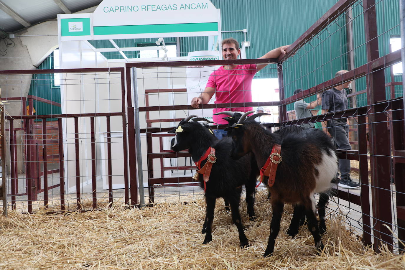 Las mejores imágenes del segundo día de Salamaq 2025