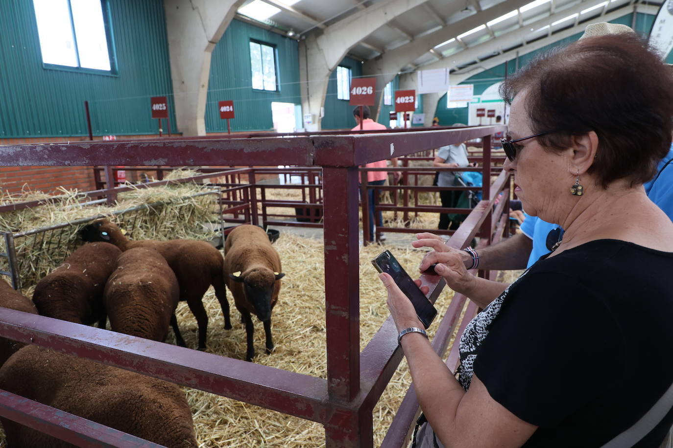 Las mejores imágenes del segundo día de Salamaq 2025
