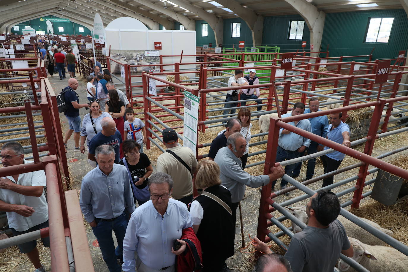 Las mejores imágenes del segundo día de Salamaq 2025