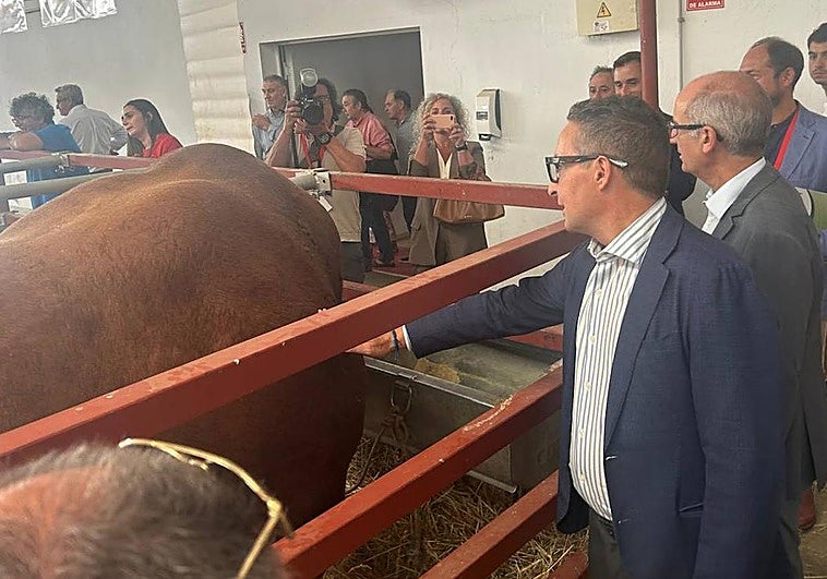 Juan Manuel Corchado y Javier Iglesias, en Salamaq.