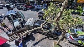Qué ha ocurrido este viernes 5 de septiembre en Salamanca