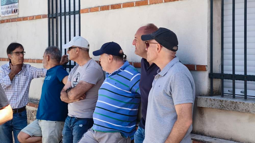 Un utrero de 540 kilos llena las calles de Macotera