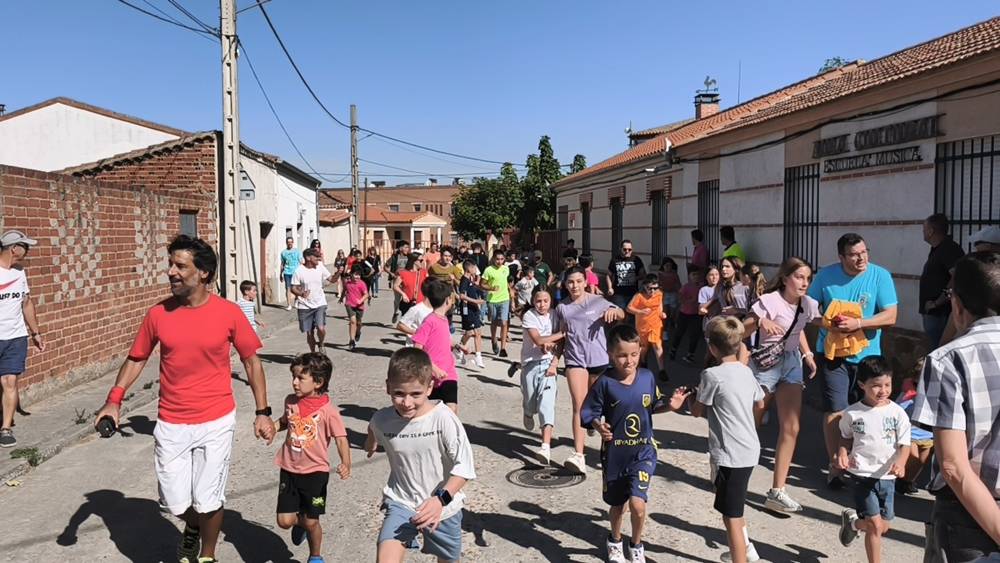 Entretenida mañana con los minibueyes en Macotera