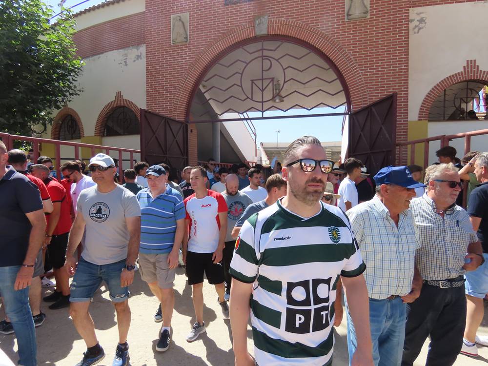 Un utrero de 540 kilos llena las calles de Macotera