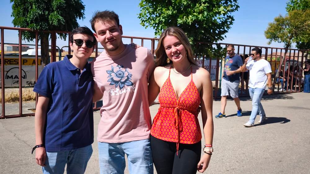 Un utrero de 540 kilos llena las calles de Macotera