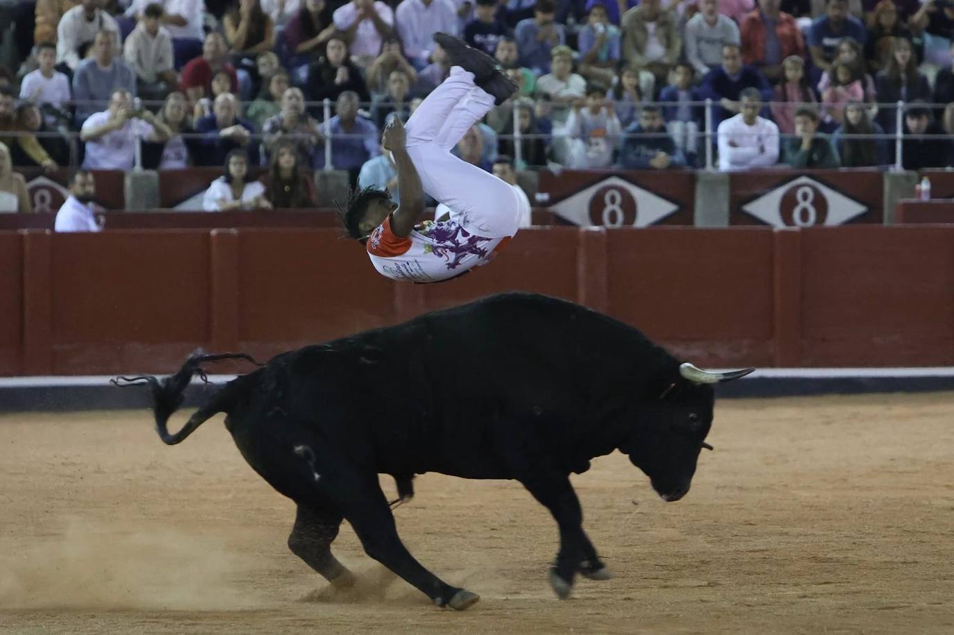 Las mejores imágenes del espectacular concurso de recortes que abrió la Feria en La Glorieta