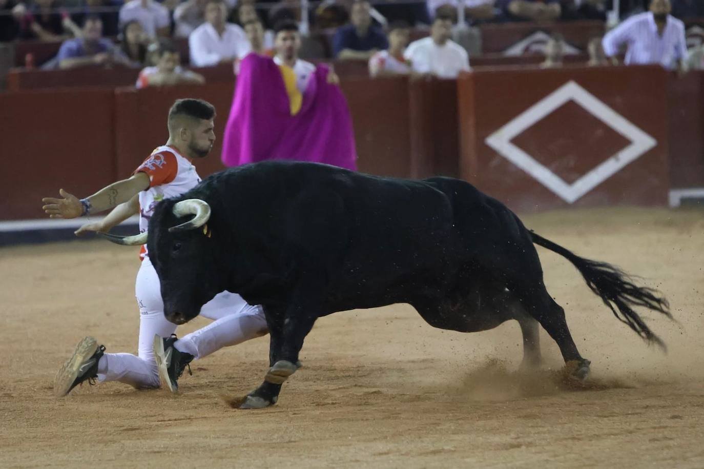 Las mejores imágenes del espectacular concurso de recortes que abrió la Feria en La Glorieta