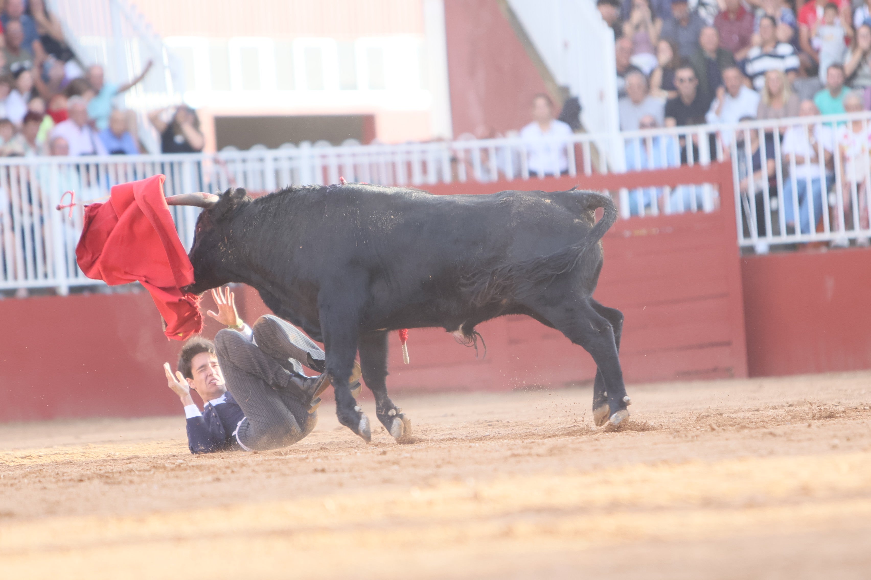 Dos orejas para Mateos, Norte y Rojo en el certamen de novilleros