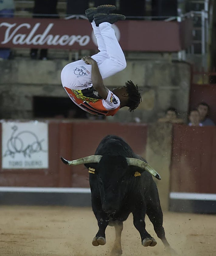 Imagen secundaria 2 - En la primera imagen, un ajustado recorte de Dani Alonso, el triunfador de la noche. De rodillas, el mirobrigense Pipe Martín, en un quiebro de rodillas. Un espectacular salto de espaldas con tirabuzón de Said Embeyrik al novillo de la final. Los tres se disputaron el trofeo en el último toro y dividieron las opiniones del respetable.