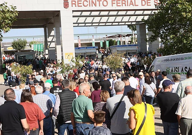 Imagen de las largas colas que se han formado en las inmediaciones del recinto.