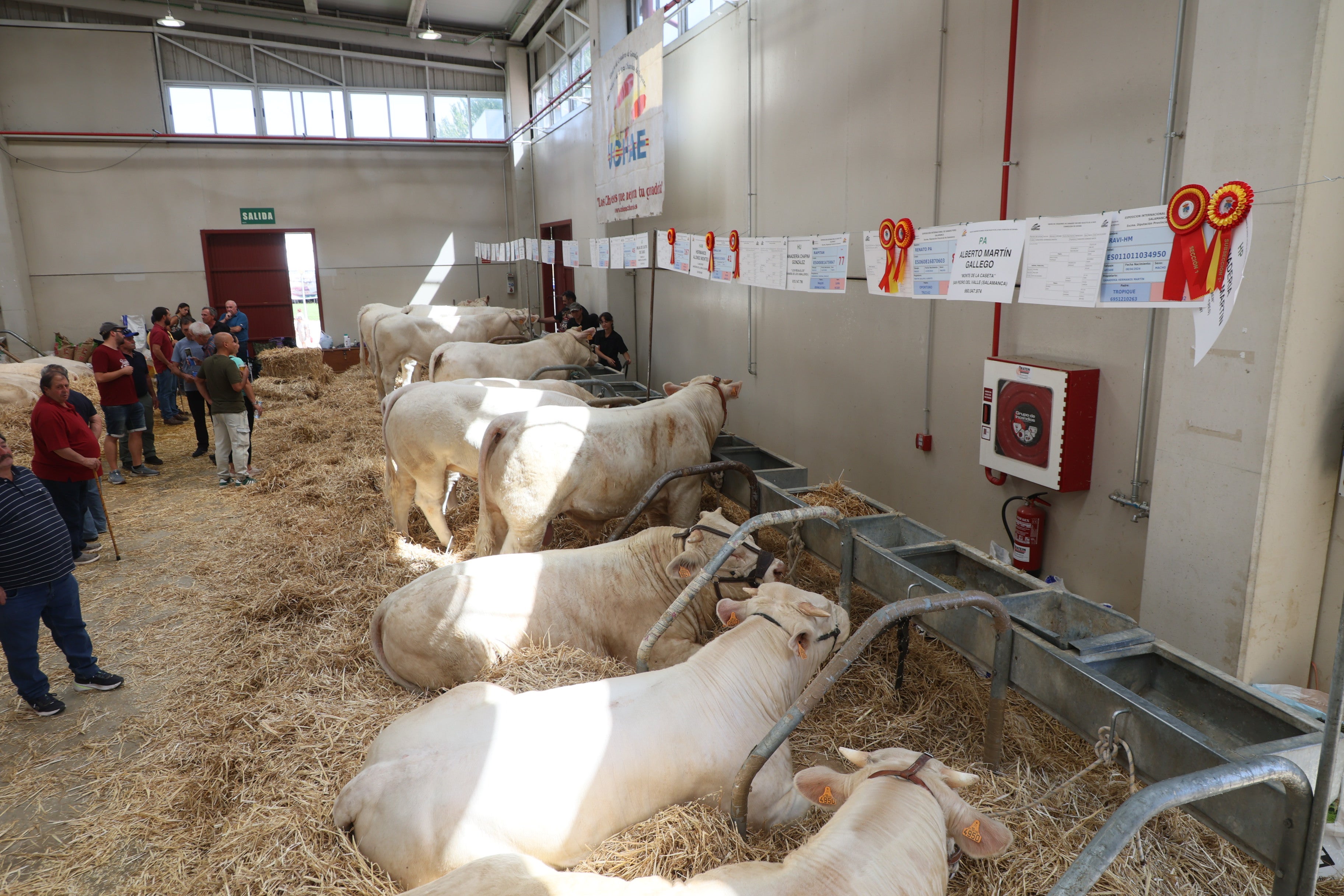 Las mejores imágenes del tercer día de Salamaq 2025