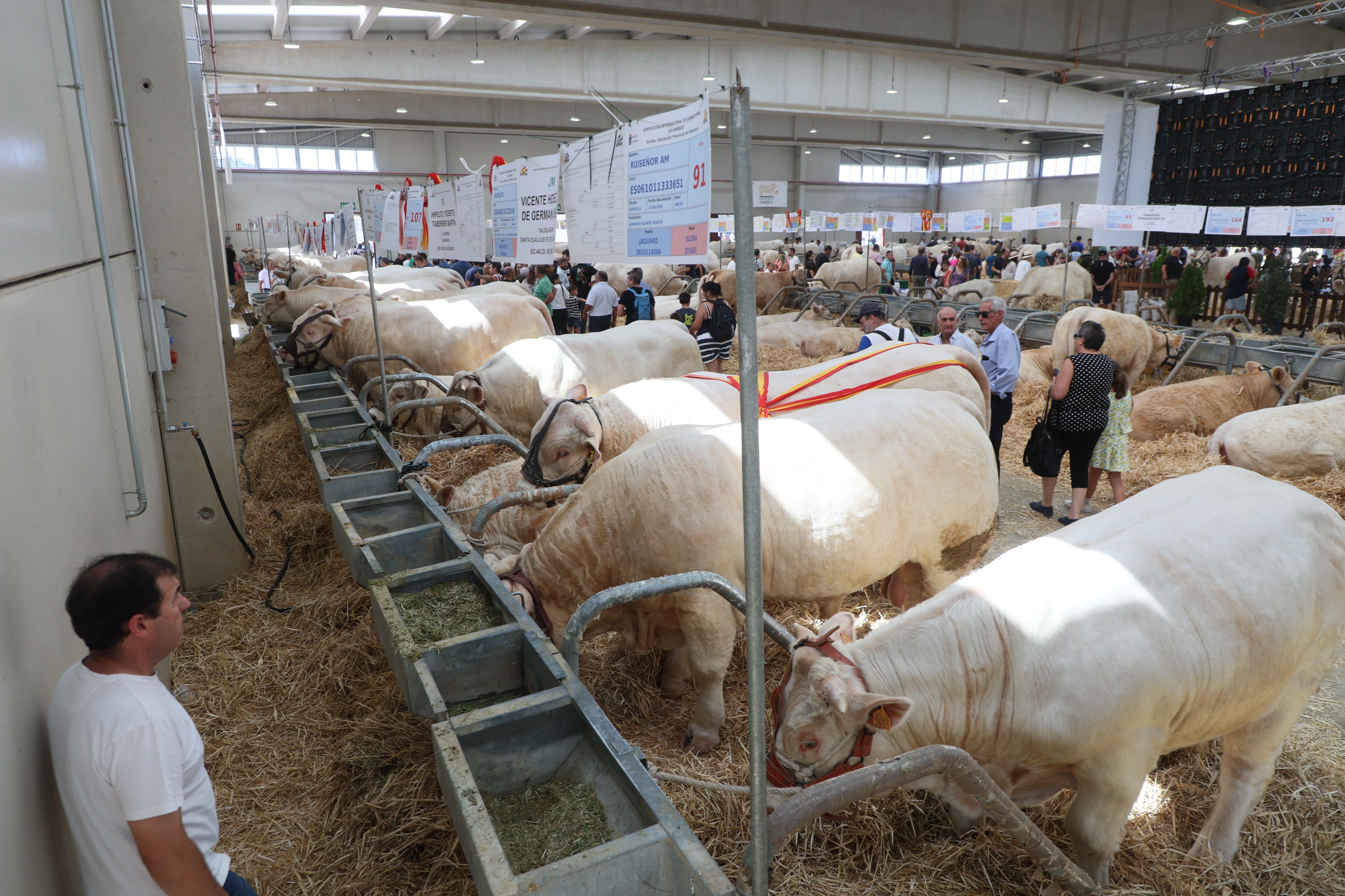 Las mejores imágenes del tercer día de Salamaq 2025