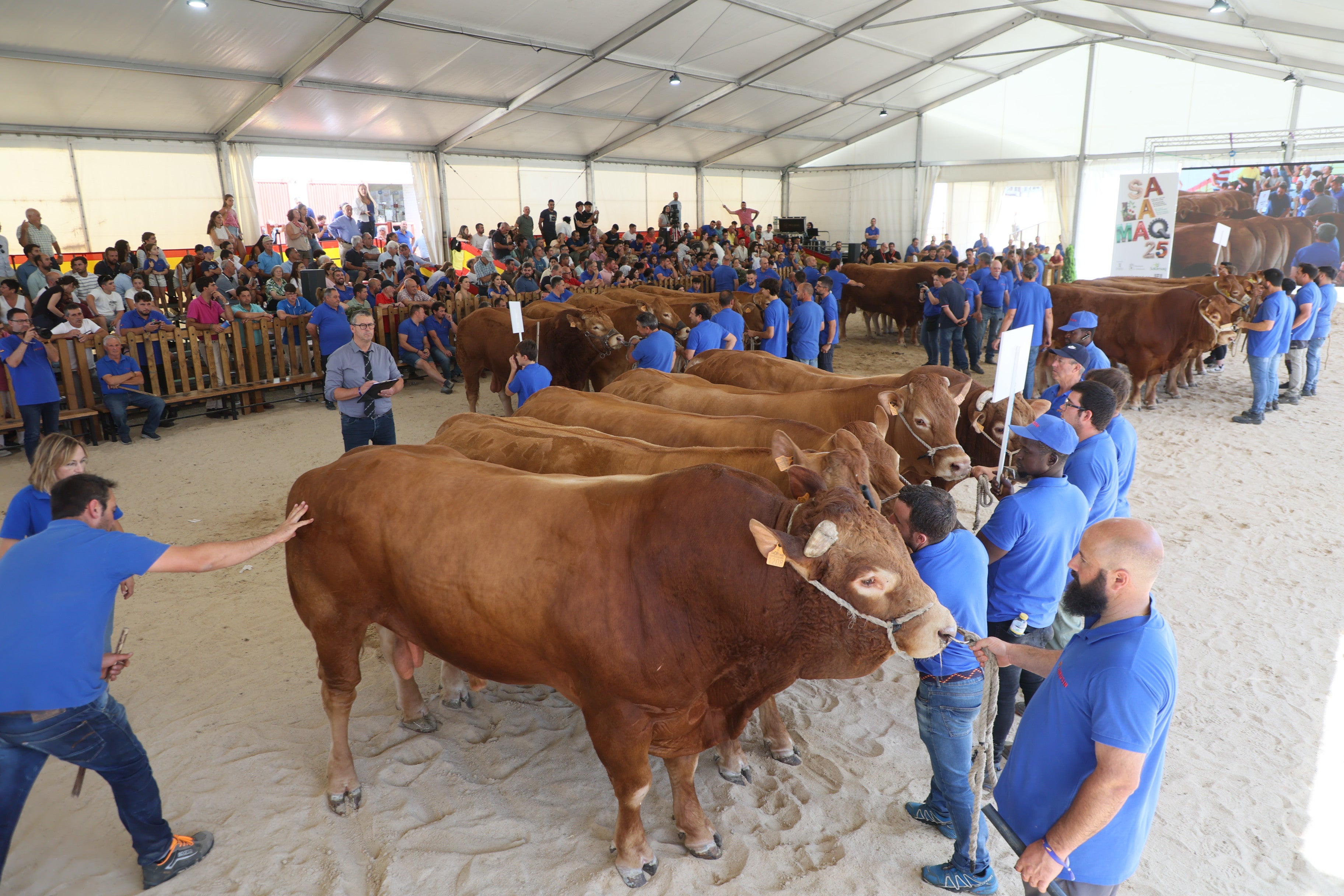 Las mejores imágenes del tercer día de Salamaq 2025