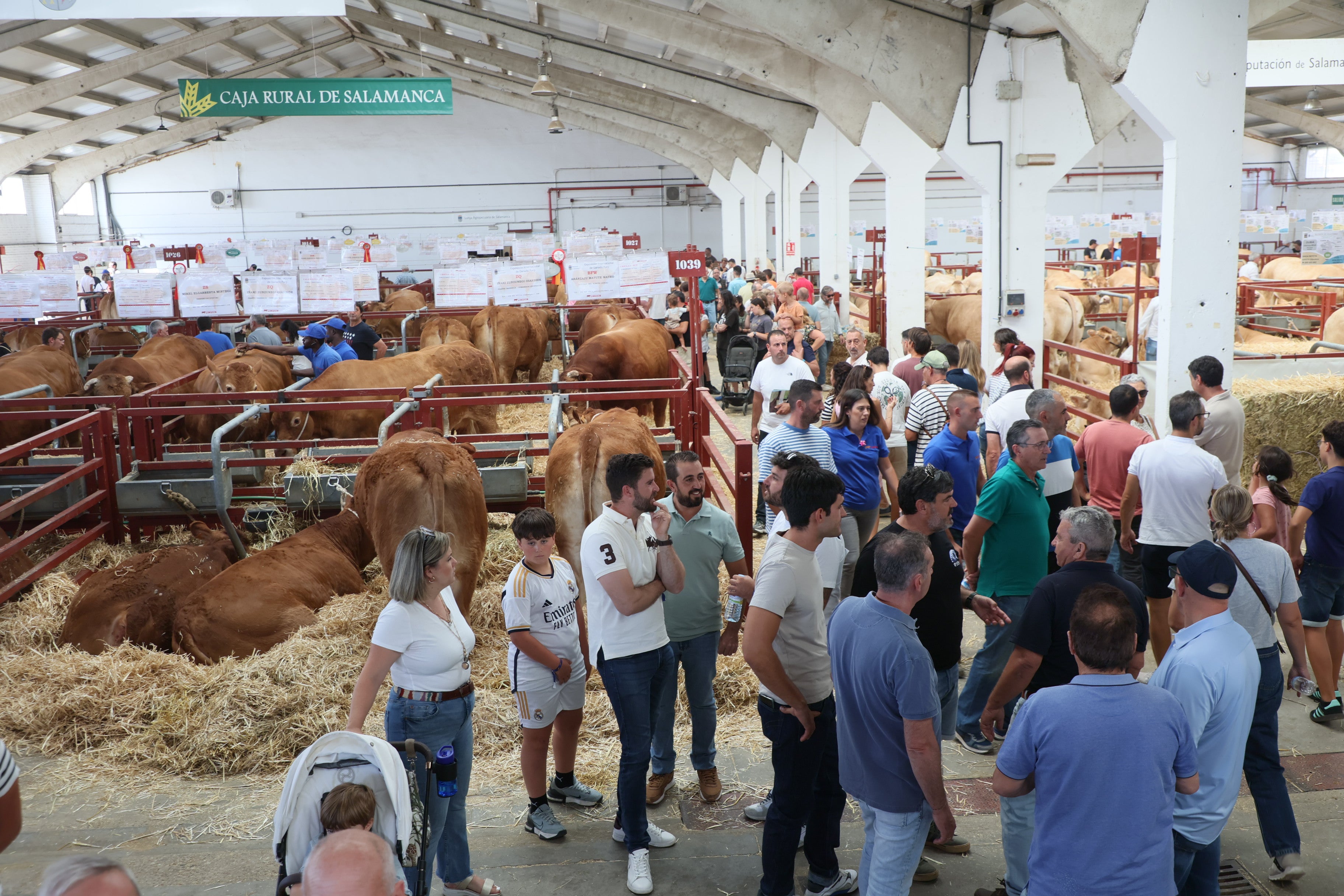 Las mejores imágenes del tercer día de Salamaq 2025