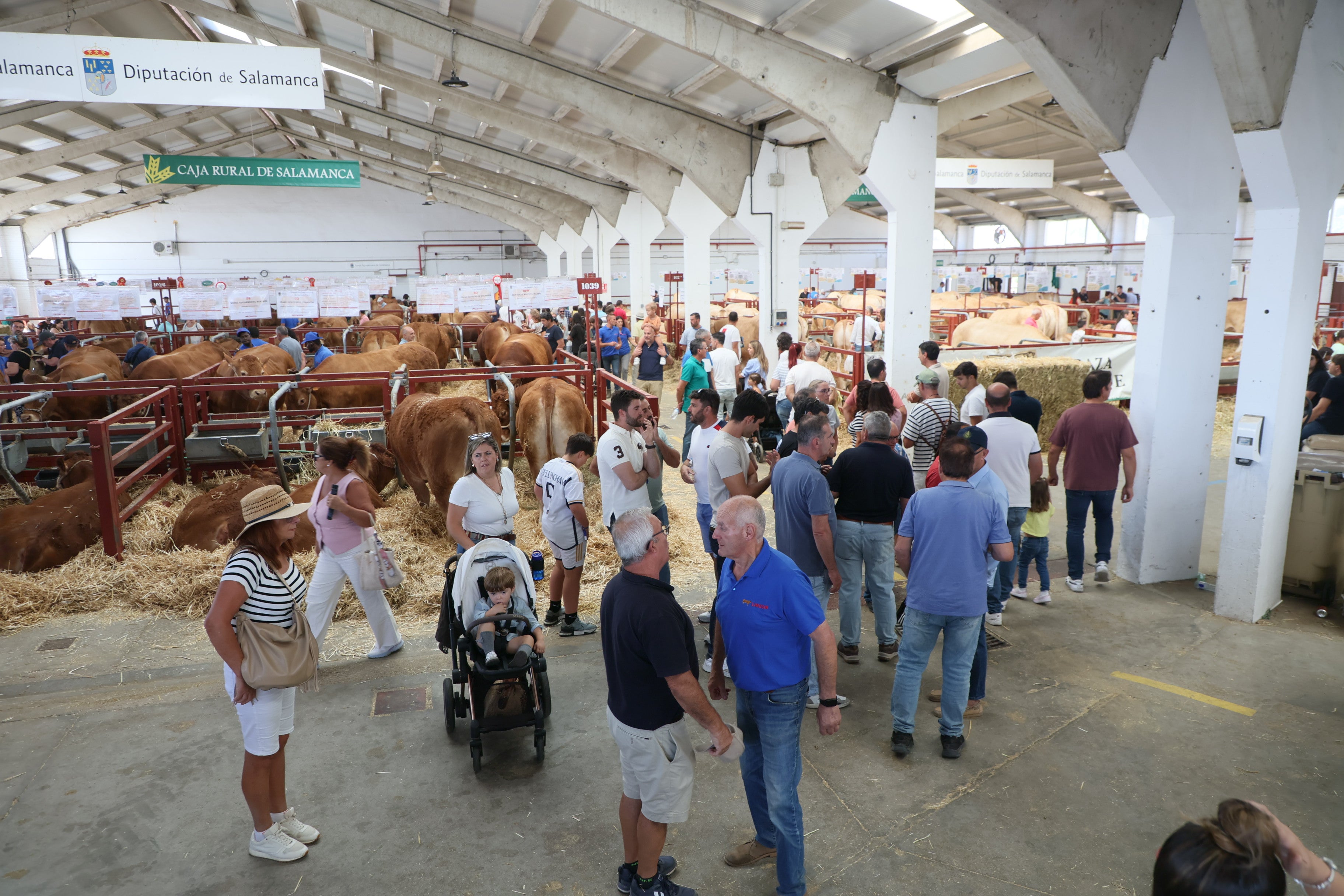 Las mejores imágenes del tercer día de Salamaq 2025