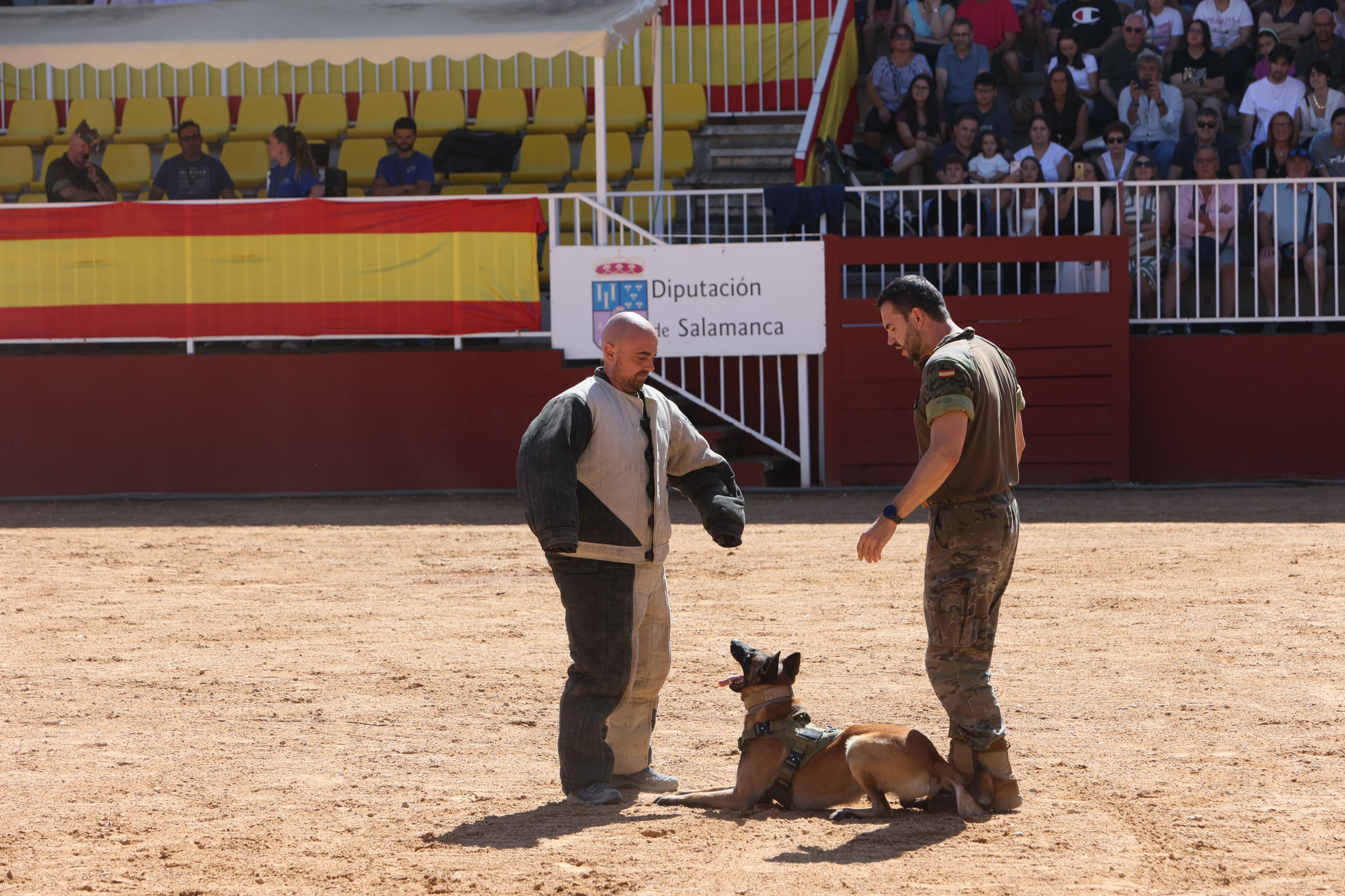 Las mejores imágenes del tercer día de Salamaq 2025